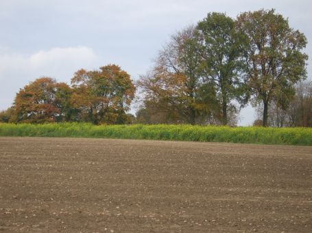 Groesbeek NL : Zevenheuvelenweg